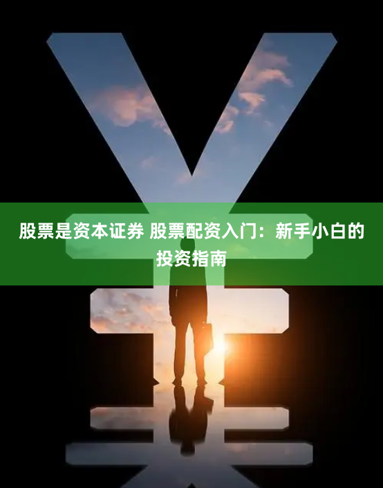 股票是资本证券 股票配资入门：新手小白的投资指南